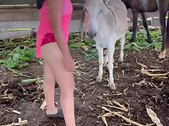 Reife Mexikanerin reitet abwechselnd einen Esel