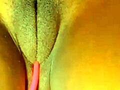 Tubuh berotot Sexystacy7 dan cameltoe yang mengesankan dipamerkan dalam video masturbasi