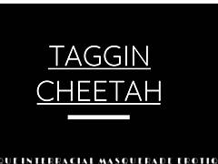 Η Taggin Cheetahs σε ένα έντονο διαφυλετικό ταξίδι